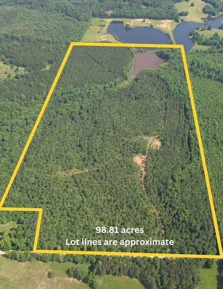 98.81 Ellis Rd, Stovall, GA 30222