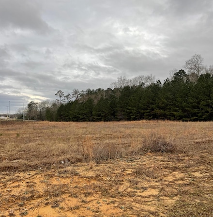 lot 4 R A Johnson Dr, Columbia, MS 39429