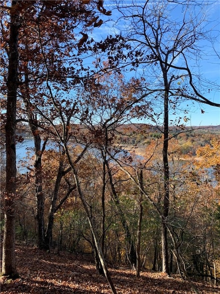 4.32 AC Barzel Point Rd, Rogers, AR 72756
