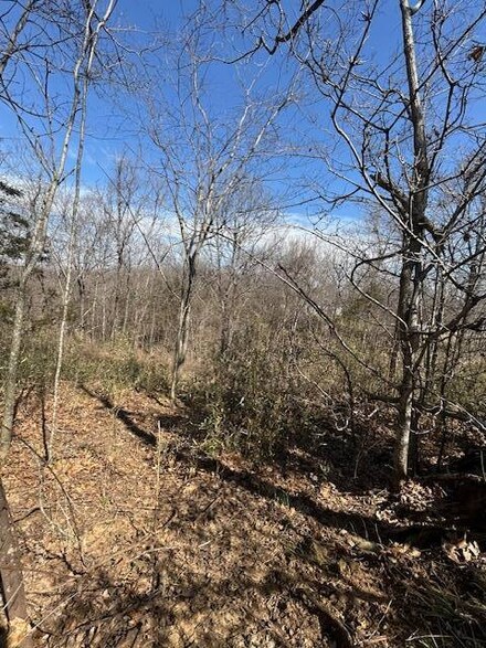 000 Akin Narrows of Pitman Rd, Greensburg, KY 42743
