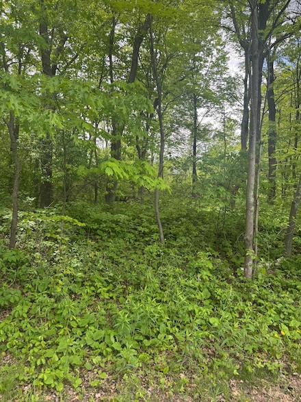 xxxx 241st Ave NE, Linwood Township, MN 55079