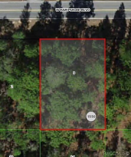3838 W Hampshire Blvd, Dunnellon, FL 34434