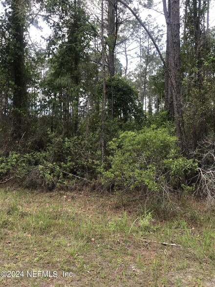 105 Needles Ln, Georgetown, FL 32139