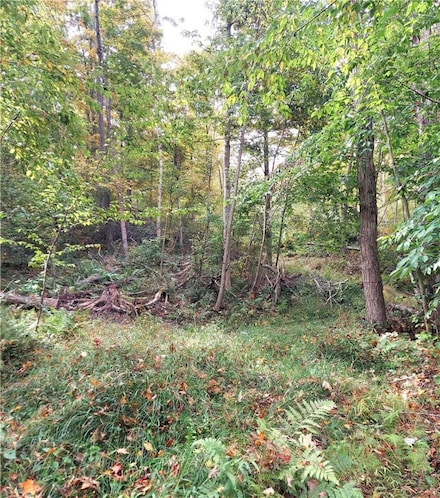 0 Valley Rd Unit 1673985, Polk, PA 16342
