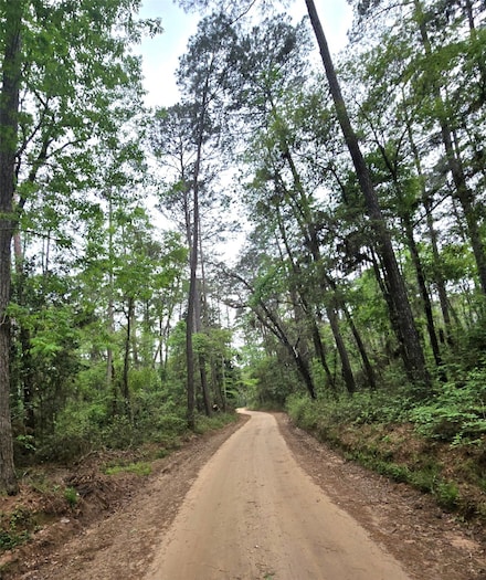 0 Turner Rd, Cleveland, TX 77328