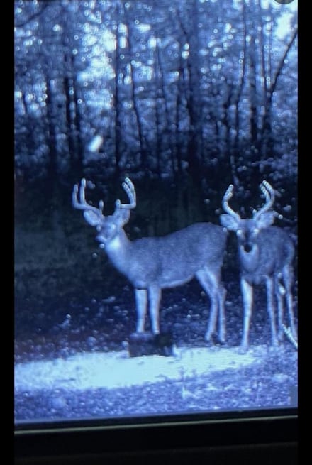 000 County Road 255, Thayer, MO 65791