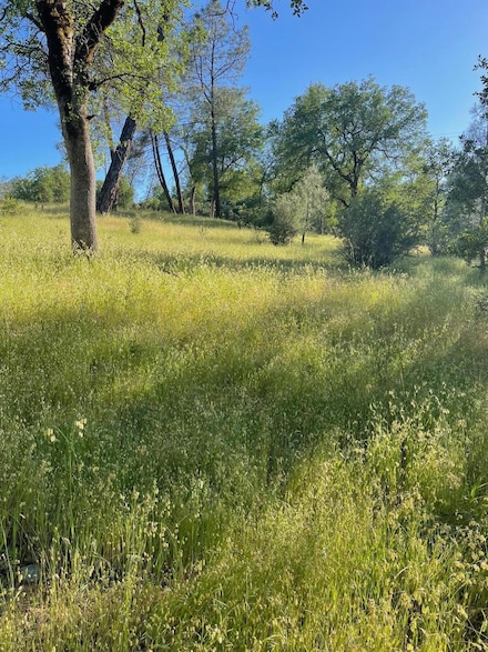 12680 Akrich St, Redding, CA 96003