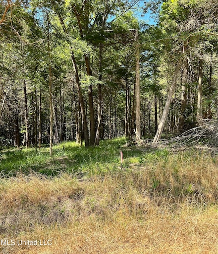 5153 U S 51, Hernando, MS 38632