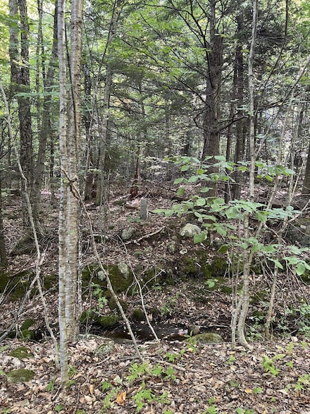 0 Pike Hill Rd Unit 227-004 5018060, Plymouth, NH 03264