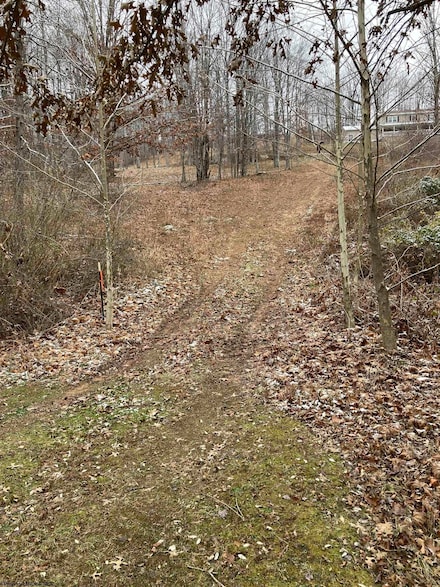26-82 Doe Ln, Buckhannon, WV 26201