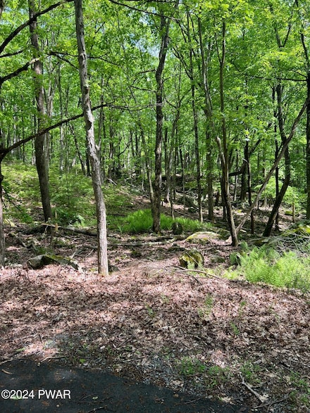 806 Conestoga Ct, Lords Valley, PA 18428