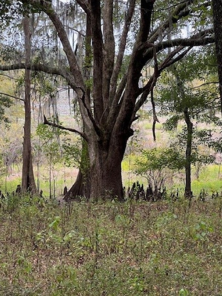 0 Hiamonee Dr, Tallahassee, FL 32312