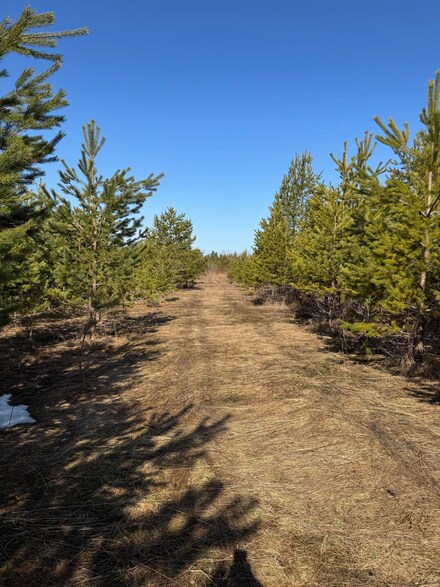 00 S Mackinac Trail, Sault Ste Marie, MI 49783