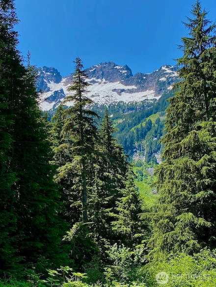 0 Mountain Loop Hwy Unit NWM2406879, Granite Falls, WA 98252