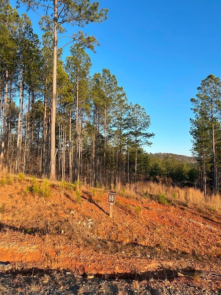 LT 80 Seven Mile Creek Rd, Talking Rock, GA 30175