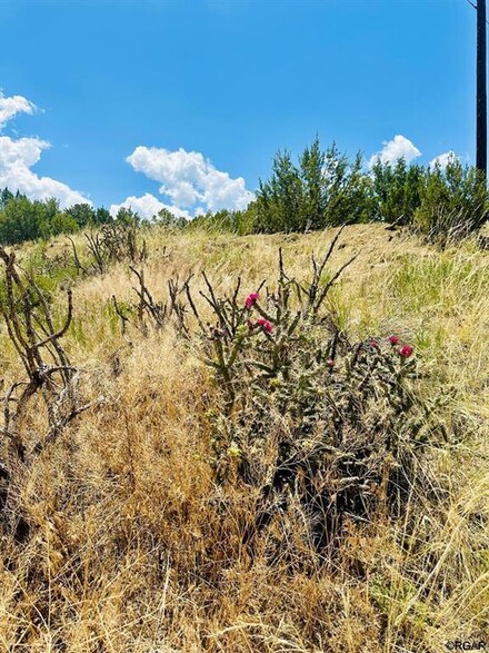 TBD Gilbert St, Coal Creek, CO 81221