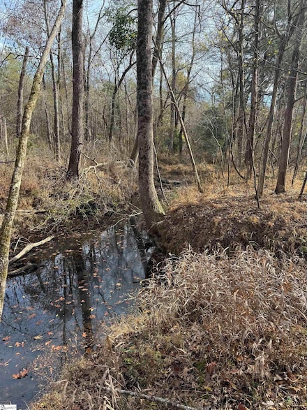 6776 Columbia Hwy, Saluda, SC 29138