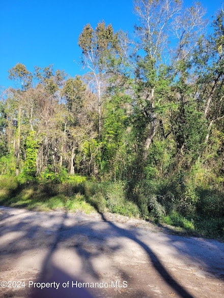 00 Morena St, Moon Lake Estates, FL 34654