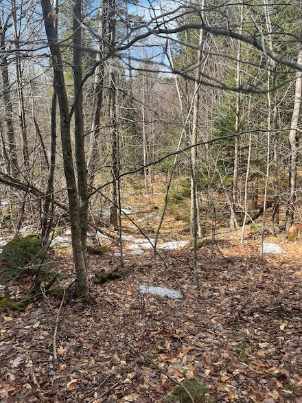 0 E Washington Rd, Washington, NH 03280