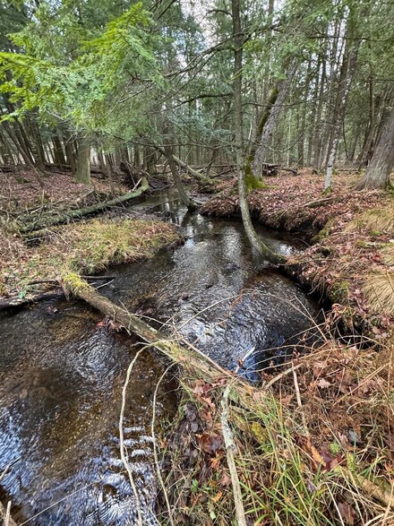 0 Arquilla Creek, Dickson Township, MI 49638