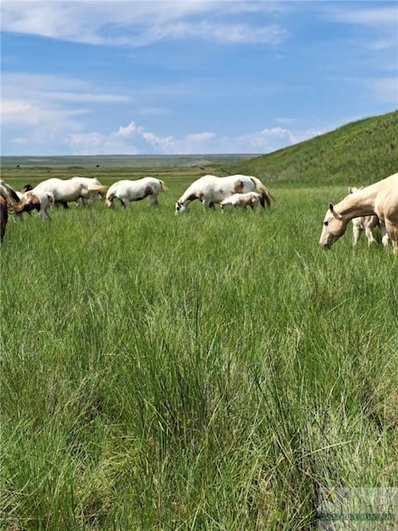1851 Goulding Creek Rd, Broadview, MT 59015