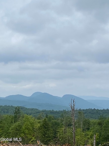 356 Dickinson Hill Rd, Bolton, NY 12824