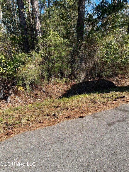 0 Helena Unit 4066493, Pass Christian, MS 39571