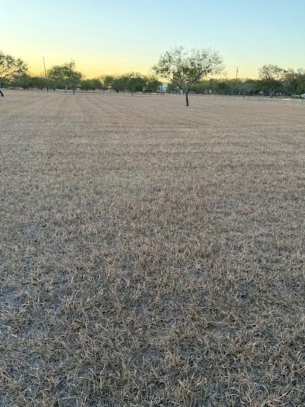 3872 Cobb Ln, Rancho Banquete, TX 78380