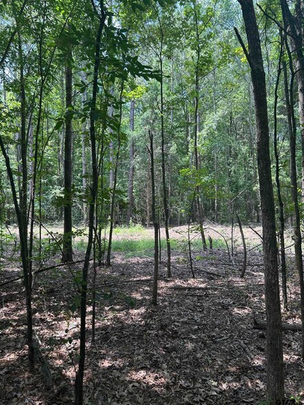 TBD N State Highway 42, Clarksvle Cty, TX 75693