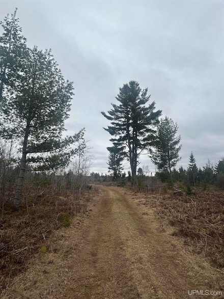 Parcel 4 Off Johnson Lake Rd, Gwinn, MI 49841
