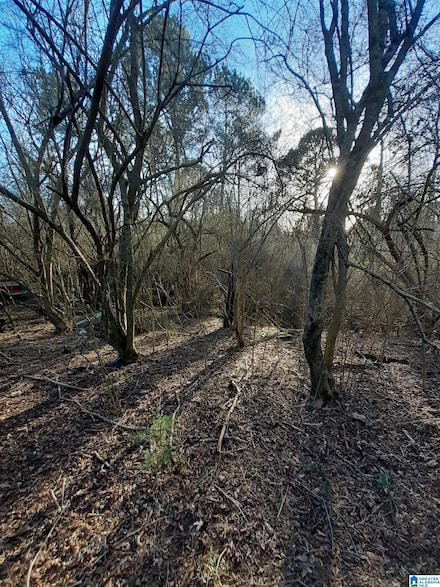 6250 Palos Cir, Quinton, AL 35130