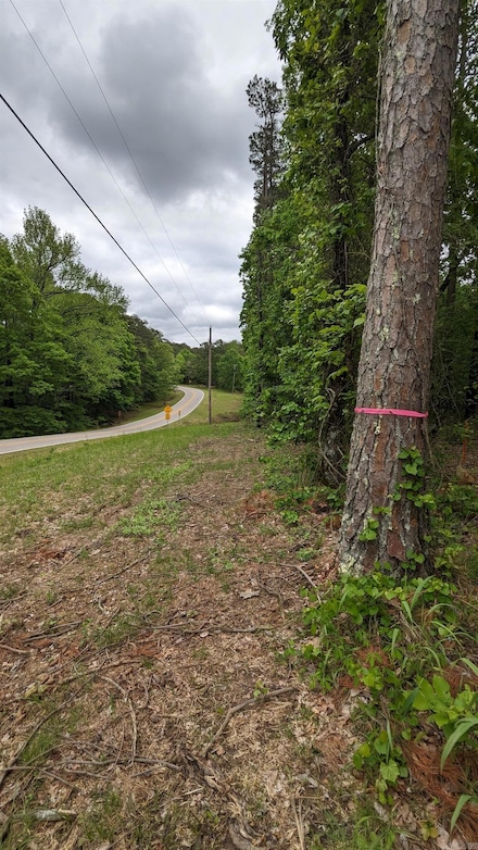 69.98 Acres Hwy 154, Morrilton, AR 72110