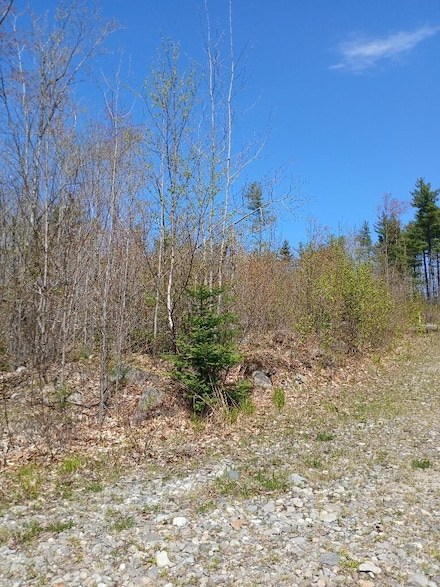 40 A Eleanor Mae Rd, Deblois, ME 04622