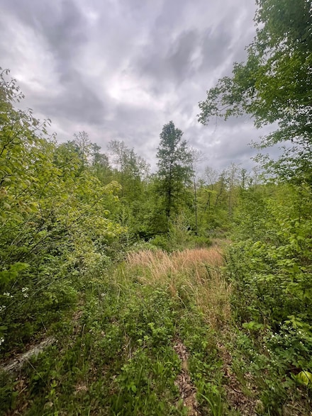 0 Hidden Valley Lakes, Annapolis, MO 63621