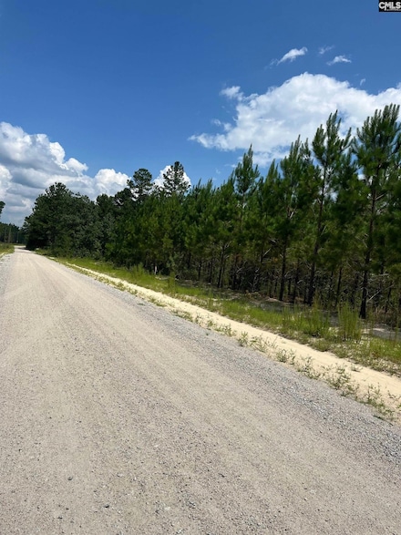 BFF 1A J C Barefoot Rd Unit BFF 1A, Patrick, SC 29584