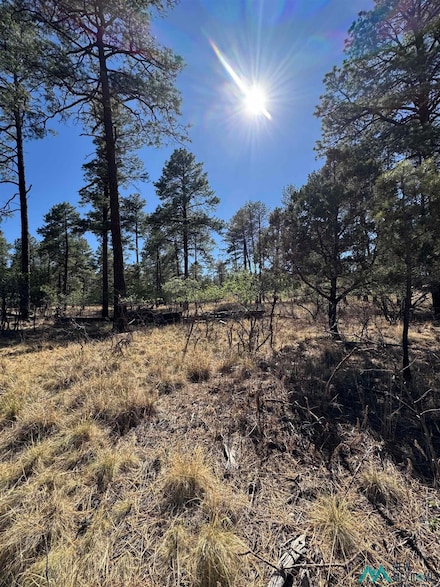 Lot95 Tonto Dr, Timberon, NM 88350