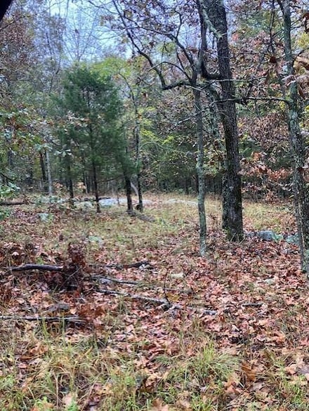 410 Madison St, Fredericktown, MO 63645