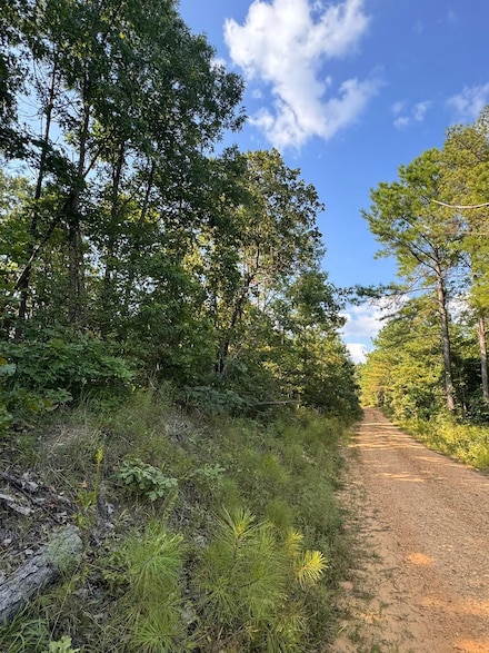 Military Rd, Beaverton, AL 35544