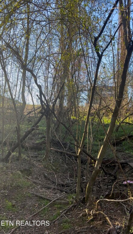 0 N Patton Ave, Rockwood, TN 37854