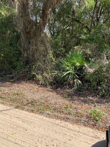 00 S Holly and South Pine Ave, Florahome, FL 32140