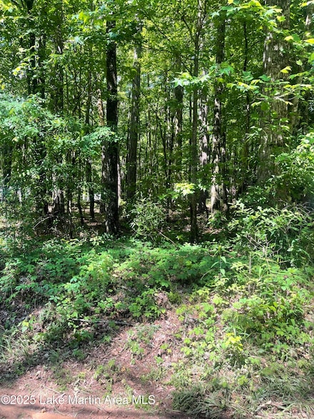 366 Lower Bottom Rd, Alexander City, AL 35010