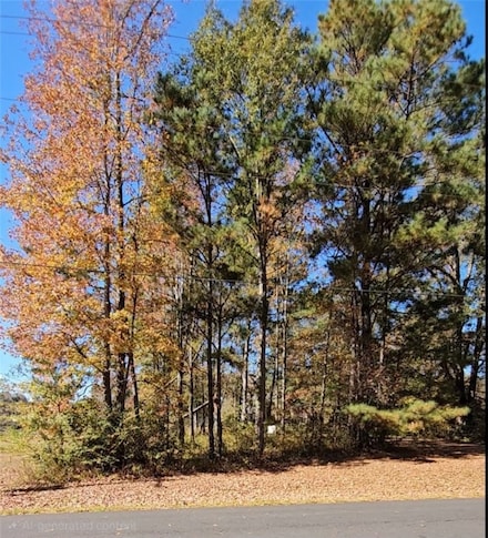 Lot 6 Lincoln Heights St, Alexander City, AL 35010