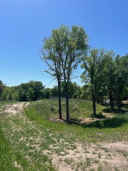 1004 Bermes Ct, Brock, TX 76087