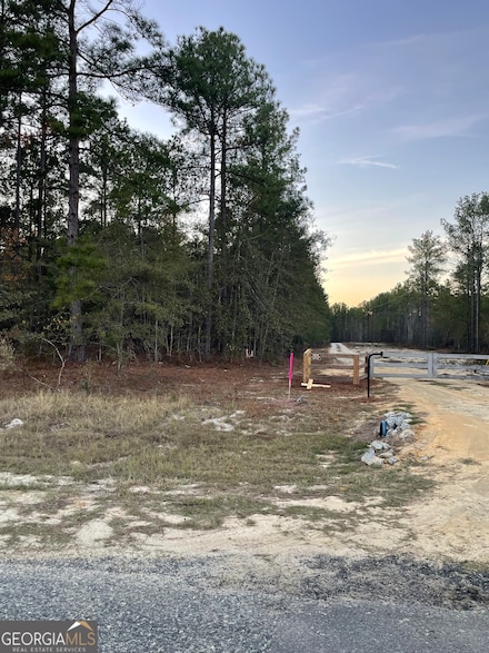 0 Scuffletown Rd Unit 10642528, Twin City, GA 30471