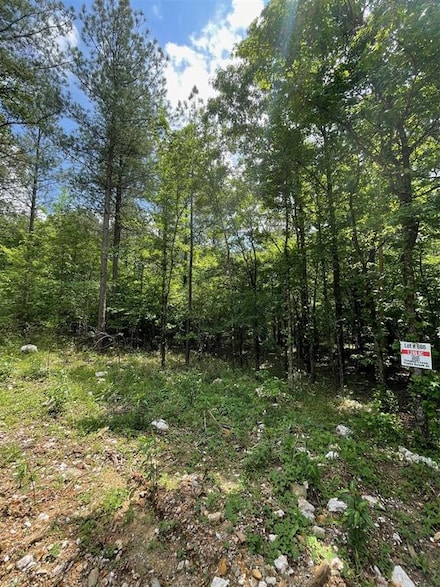 686 Timber Creek Trails South Xl, Broken Bow, OK 74728