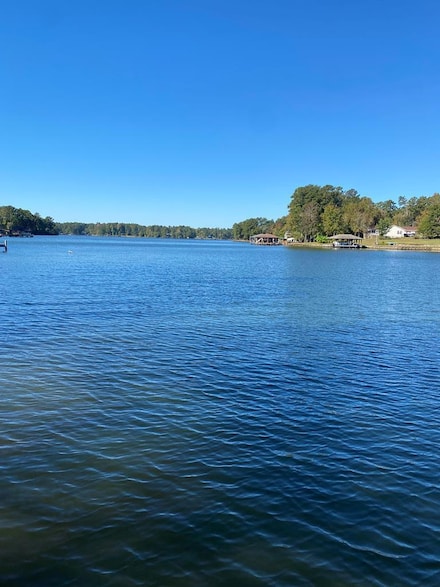 201 N Chickasaw Trail, Sparta, GA 31087