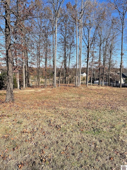 LOT 95 Forest Ridge Dr, Paducah, KY 42003