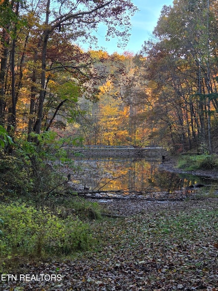 168 Pine Trail, Sevierville, TN 37876