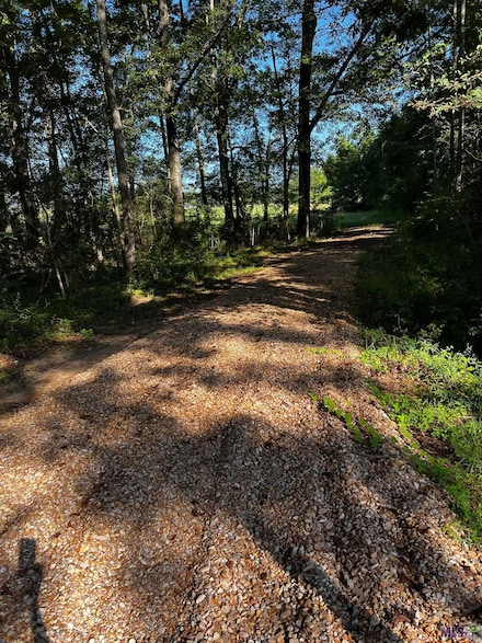 Tract X3D2 La Hwy 955, Ethel, LA 70730