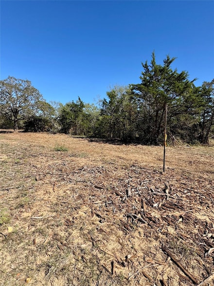 TBD Lot 4 Patterson Rd, Flatonia, TX 78941